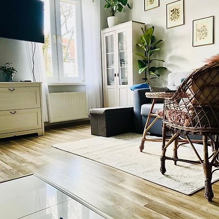 Apartament Na Starym Miescie ブンツラウ エクステリア 写真