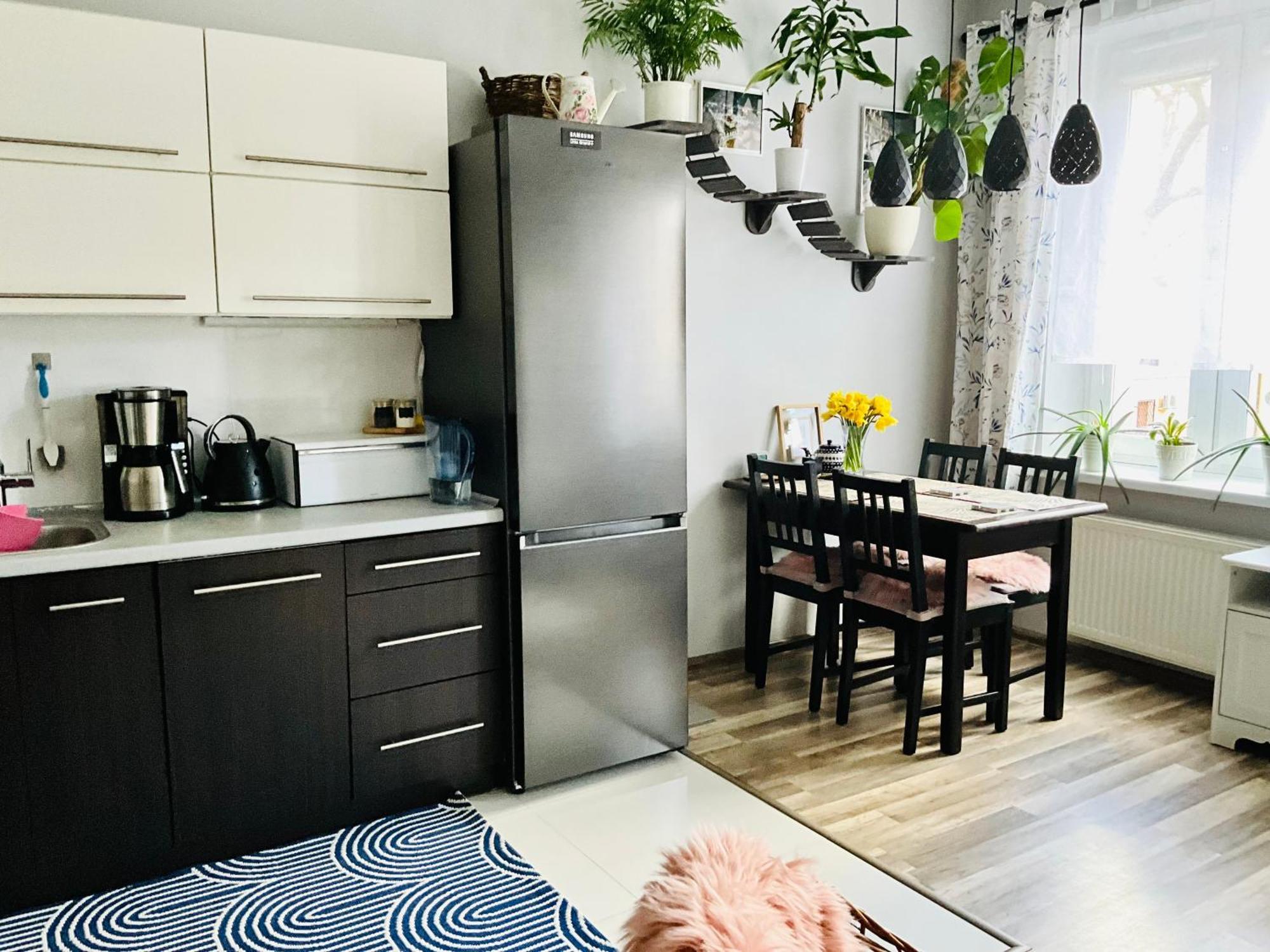 Apartament Na Starym Miescie ブンツラウ エクステリア 写真