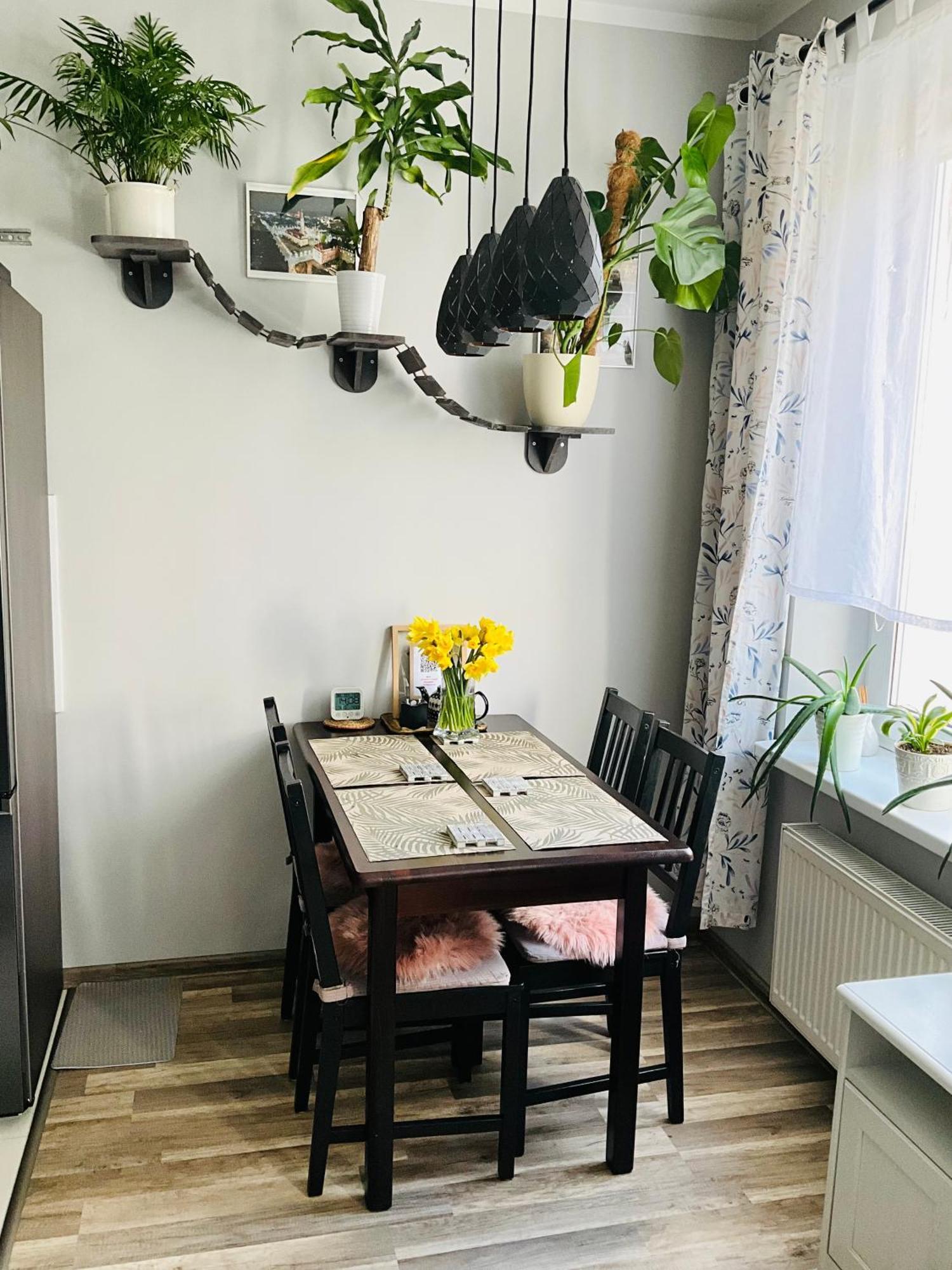Apartament Na Starym Miescie ブンツラウ エクステリア 写真